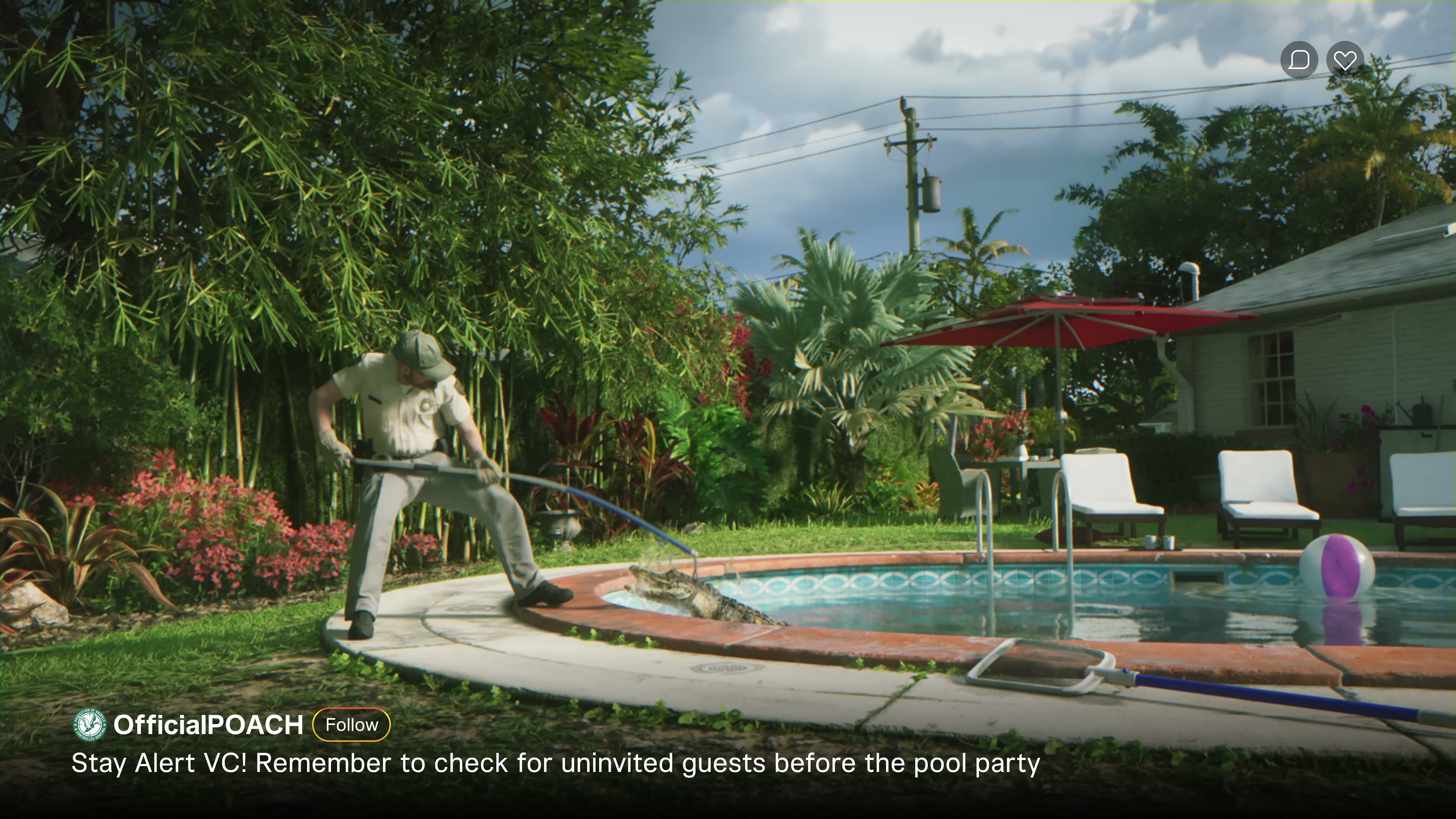 Animal control officer wrangling an alligator at a backyard pool with social media overlay